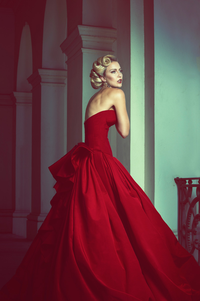 The Red Dress - Robert Coppa